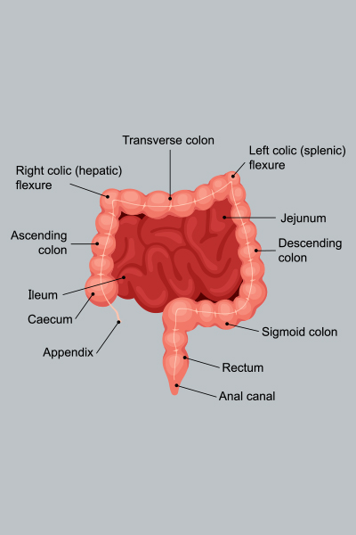 A Detailed Guide To Colorectal And General Health Conditions