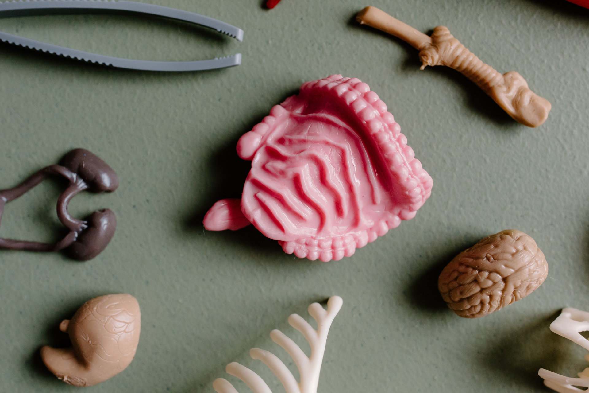 pink and white heart-shaped candy